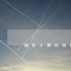 湖北十堰抚养权律师推荐 湖北十堰抚养权律师推荐