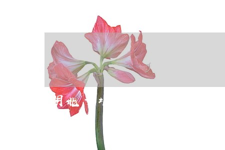 湖北十堰茅箭区法院最新