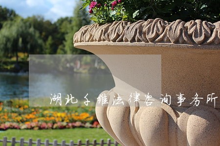 湖北千维法律咨询事务所 湖北千维法律咨询事务所