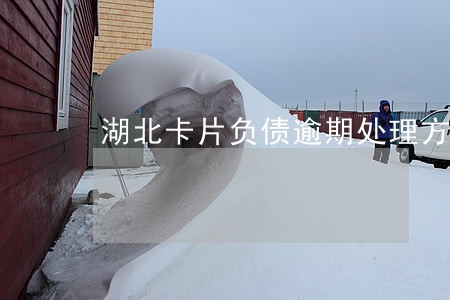 湖北卡片负债逾期处理方法 湖北卡片负债逾期处理方法