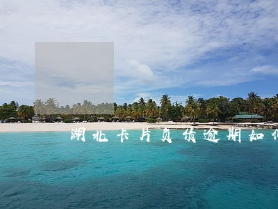 湖北卡片负债逾期如何规划还款 湖北卡片负债逾期如何规划还款
