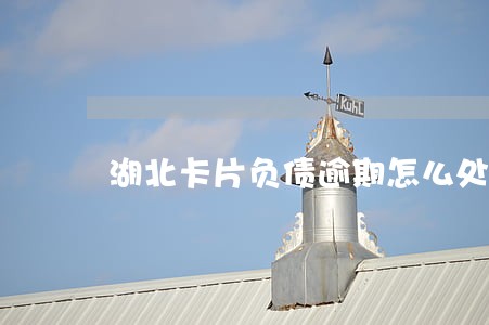 湖北卡片负债逾期怎么处理 湖北卡片负债逾期怎么处理