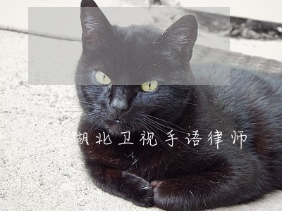 湖北卫视手语律师 湖北卫视手语律师