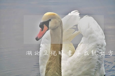 湖北卫视曝妻子出轨女方晒律师函 湖北卫视曝妻子出轨女方晒律师函