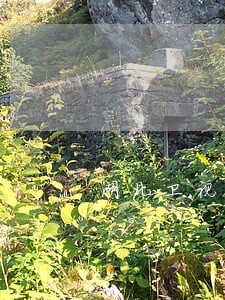 湖北卫视湖北伟岸律师 湖北卫视湖北伟岸律师