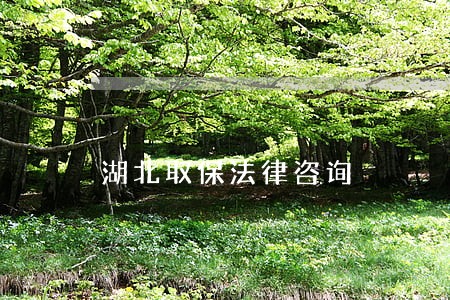 湖北取保法律咨询 湖北取保法律咨询