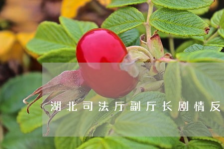 湖北司法厅副厅长剧情反转 湖北司法厅副厅长剧情反转