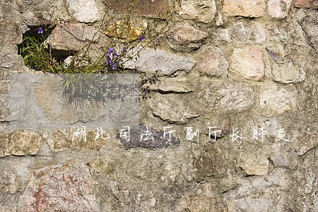 湖北司法厅副厅长肺炎