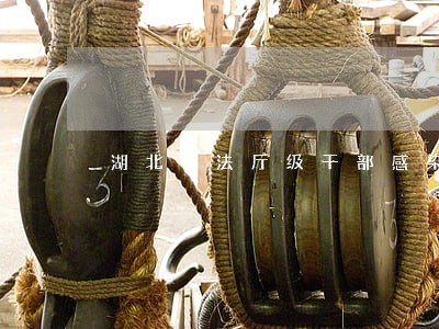 湖北司法厅级干部感染 湖北司法厅级干部感染