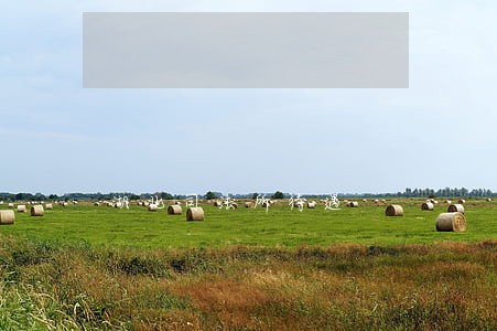 湖北司法所待遇 湖北司法所待遇