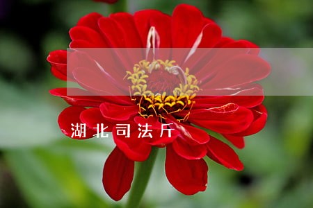 湖北司法斤