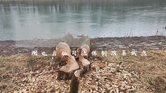 湖北启动司法体制改革试点