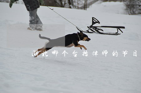 湖北哪个台播律师的节目 湖北哪个台播律师的节目