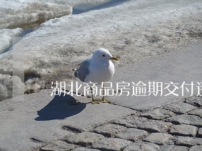 湖北商品房逾期交付违约金 湖北商品房逾期交付违约金