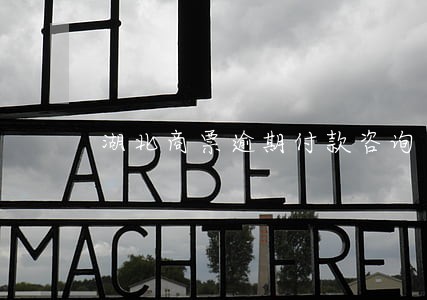 湖北商票逾期付款咨询 湖北商票逾期付款咨询