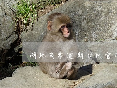 湖北商票逾期付款官司 湖北商票逾期付款官司