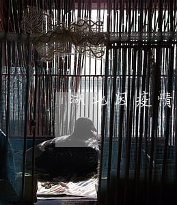 湖北因疫情原因导致车辆年检逾期 湖北因疫情原因导致车辆年检逾期