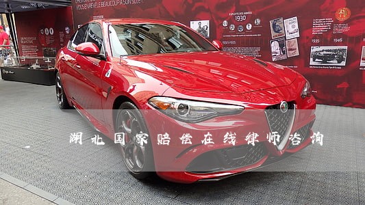 湖北国家赔偿在线律师咨询 湖北国家赔偿在线律师咨询