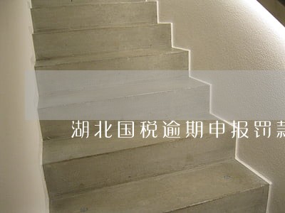 湖北国税逾期申报罚款多少 湖北国税逾期申报罚款多少