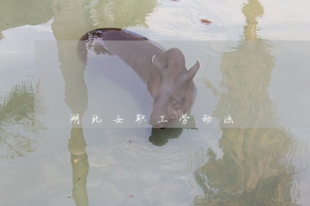 湖北女职工劳动法 湖北女职工劳动法