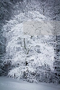 湖北孝感离婚律师地址 湖北孝感离婚律师地址
