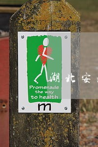 湖北安港法律咨询有限公司 湖北安港法律咨询有限公司