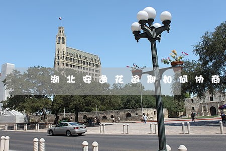 湖北安逸花逾期如何协商 湖北安逸花逾期如何协商