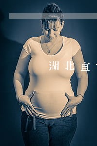 湖北宜信普惠逾期怎么处理 湖北宜信普惠逾期怎么处理