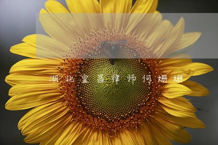 湖北宜昌律师何姗姗 湖北宜昌律师何姗姗