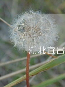 湖北宜昌法院招聘体检时间