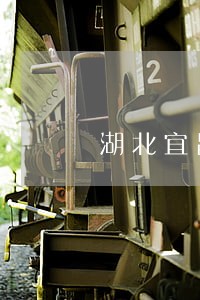 湖北宜昌法院案件编号查询系统
