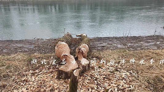 湖北宜昌请合同纠纷律师收费标准 湖北宜昌请合同纠纷律师收费标准