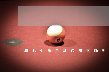 湖北小米金融逾期正确处理方案 湖北小米金融逾期正确处理方案