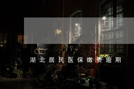 湖北居民医保缴费逾期 湖北居民医保缴费逾期