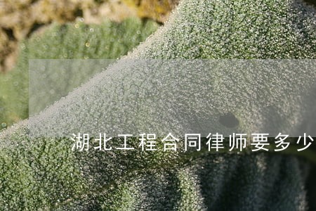 湖北工程合同律师要多少钱