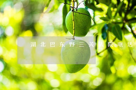 湖北巴东野三关法院电话