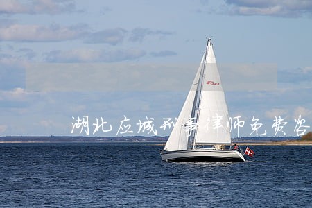 湖北应城刑事律师免费咨询 湖北应城刑事律师免费咨询