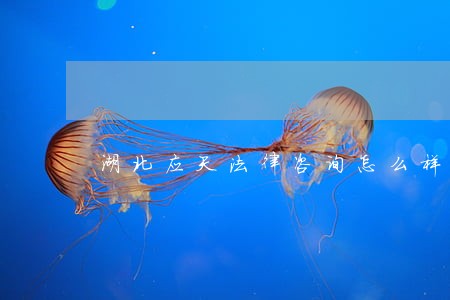 湖北应天法律咨询怎么样 湖北应天法律咨询怎么样