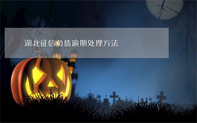 湖北征信负债逾期处理方法 湖北征信负债逾期处理方法