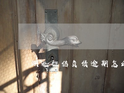 湖北征信负债逾期怎么办 湖北征信负债逾期怎么办