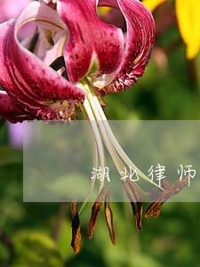 湖北律师工作会议 湖北律师工作会议