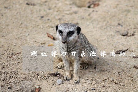 湖北律师开展法律援助工作 湖北律师开展法律援助工作