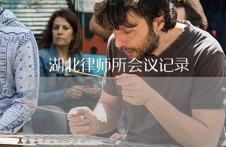 湖北律师所会议记录