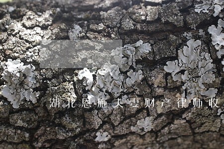 湖北恩施夫妻财产律师收费标准 湖北恩施夫妻财产律师收费标准