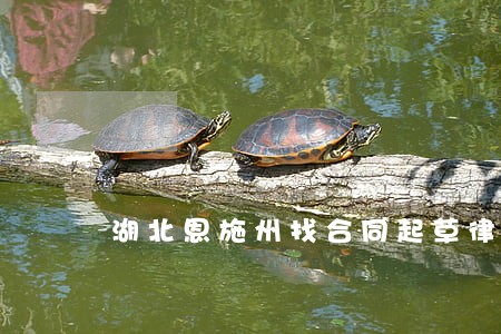 湖北恩施州找合同起草律师 湖北恩施州找合同起草律师