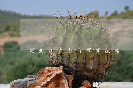 湖北房产合同律师电话 湖北房产合同律师电话