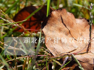 湖北房产律师收费标准 湖北房产律师收费标准