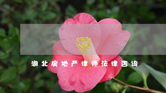 湖北房地产律师法律咨询 湖北房地产律师法律咨询