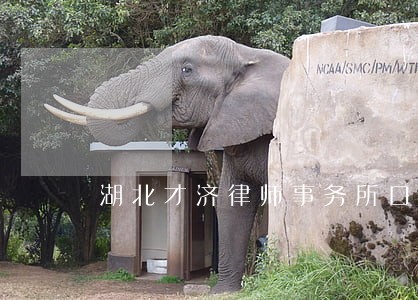 湖北才济律师事务所口碑 湖北才济律师事务所口碑