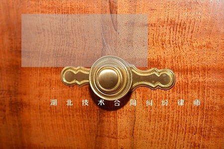 湖北技术合同纠纷律师